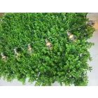 10 LED-es melegfehér solar napelemes fényfüzér GardenMeister GM 3013