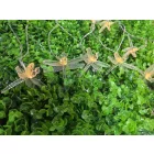 25 LED-es napelemes fényfüzér Szitakötő dizájn GardenMeister GM 3015